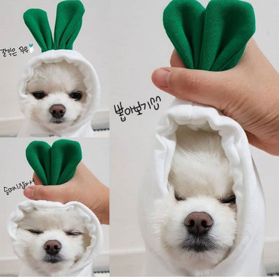 Cute Fruit-Themed Winter Hoodie for Small Dogs – Warm Fleece Coat for Puppies & Cats
