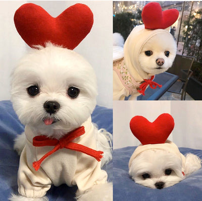 Cute Fruit-Themed Winter Hoodie for Small Dogs – Warm Fleece Coat for Puppies & Cats