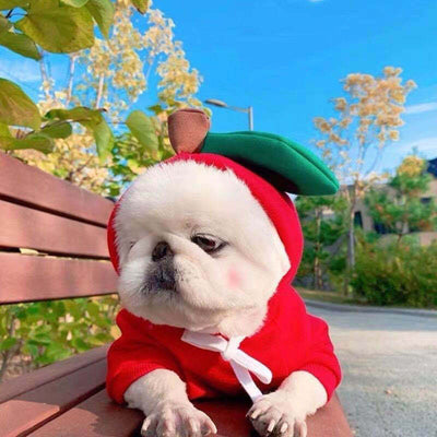 Cute Fruit-Themed Winter Hoodie for Small Dogs – Warm Fleece Coat for Puppies & Cats