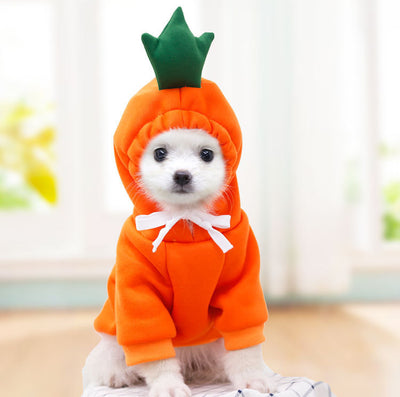 Cute Fruit-Themed Winter Hoodie for Small Dogs – Warm Fleece Coat for Puppies & Cats