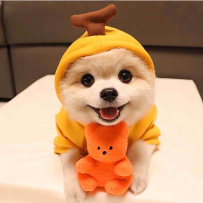 Cute Fruit-Themed Winter Hoodie for Small Dogs – Warm Fleece Coat for Puppies & Cats