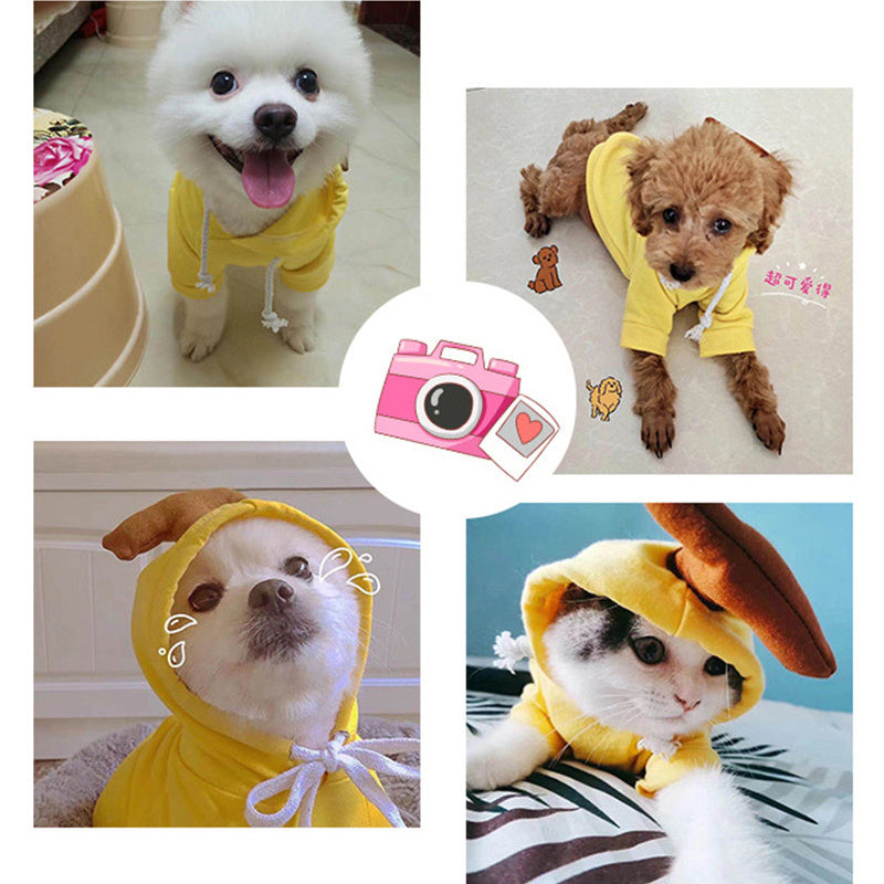 Cute Fruit-Themed Winter Hoodie for Small Dogs – Warm Fleece Coat for Puppies & Cats