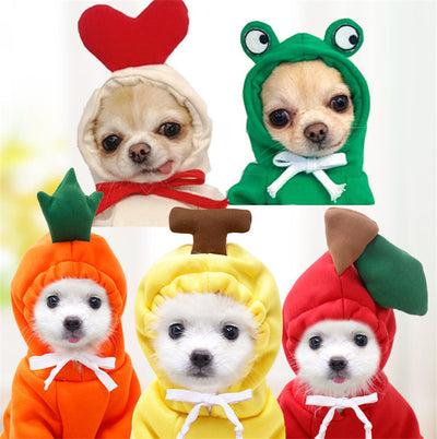 Cute Fruit-Themed Winter Hoodie for Small Dogs – Warm Fleece Coat for Puppies & Cats