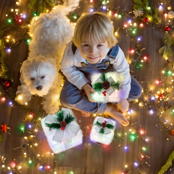 White Christmas Lighting Gift Box - NeraVault