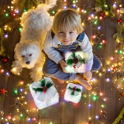 White Christmas Lighting Gift Box - NeraVault